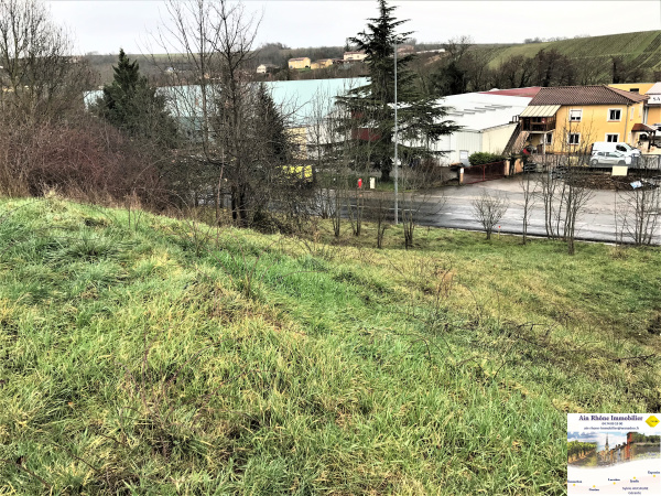 Offres de vente Terrain Liergues 69400
