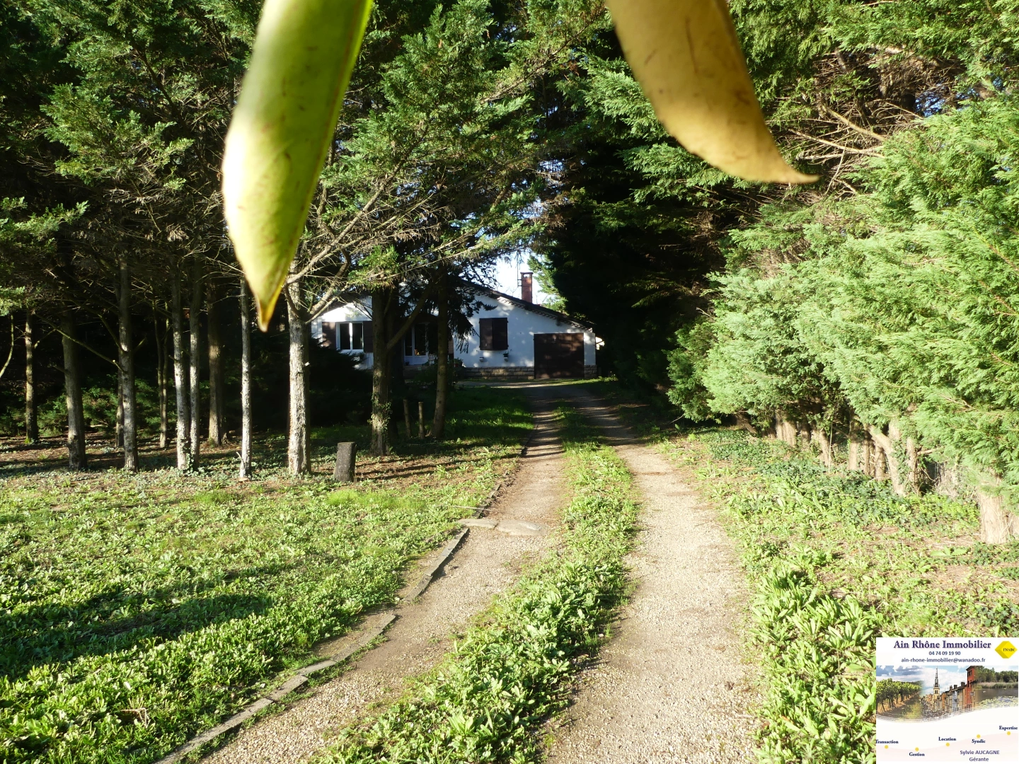 property
